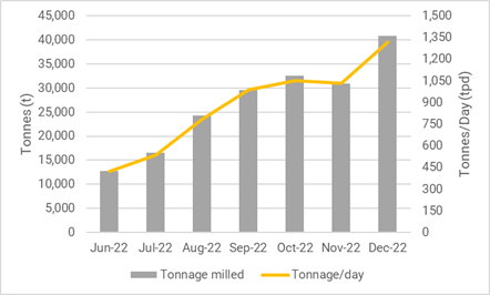 Figure 2: Processing Plant Feed